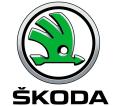 Штатные регистраторы для Skoda