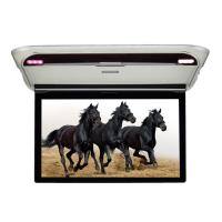 ПОТОЛОЧНЫЙ МОНИТОР 15,6" С МЕДИАПЛЕЕРОМ ERGO ER15M (1920X1080, FULLHD IPS) СЕРЫЙ