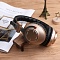 БЕСПРОВОДНЫЕ FM СТЕРЕО НАУШНИКИ ERGO VJ080 золото
