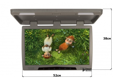 Потолочный монитор 22" ERGO ER22H (1680x1050) серый