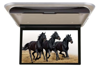 ПОТОЛОЧНЫЙ МОНИТОР 15,6" С МЕДИАПЛЕЕРОМ ERGO ER15M (1920X1080, FULLHD IPS) БЕЖЕВЫЙ