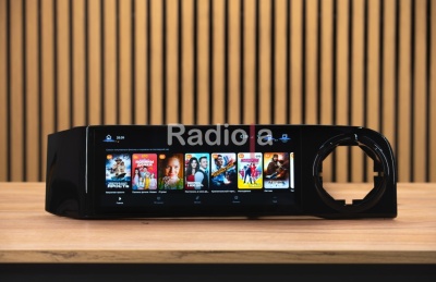 Монитор для переднего пассажира в Tank 300 